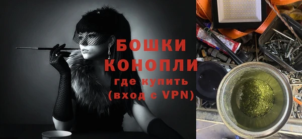 ешки Дмитриев