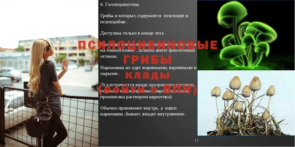 ешки Дмитриев