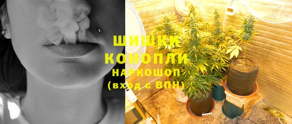 ешки Дмитриев