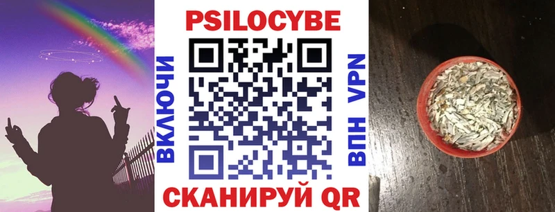 наркотики  даркнет официальный сайт  Галлюциногенные грибы MAGIC MUSHROOMS  Сясьстрой  hydra ССЫЛКА 
