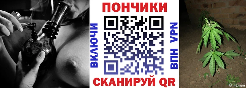 Конопля OG Kush Сясьстрой